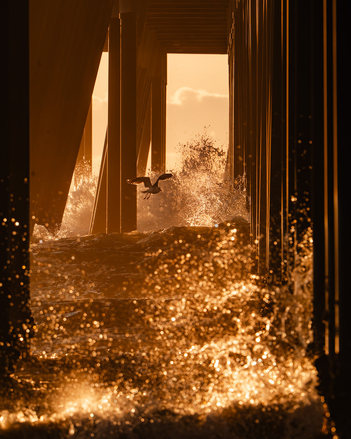 Pier Perspective