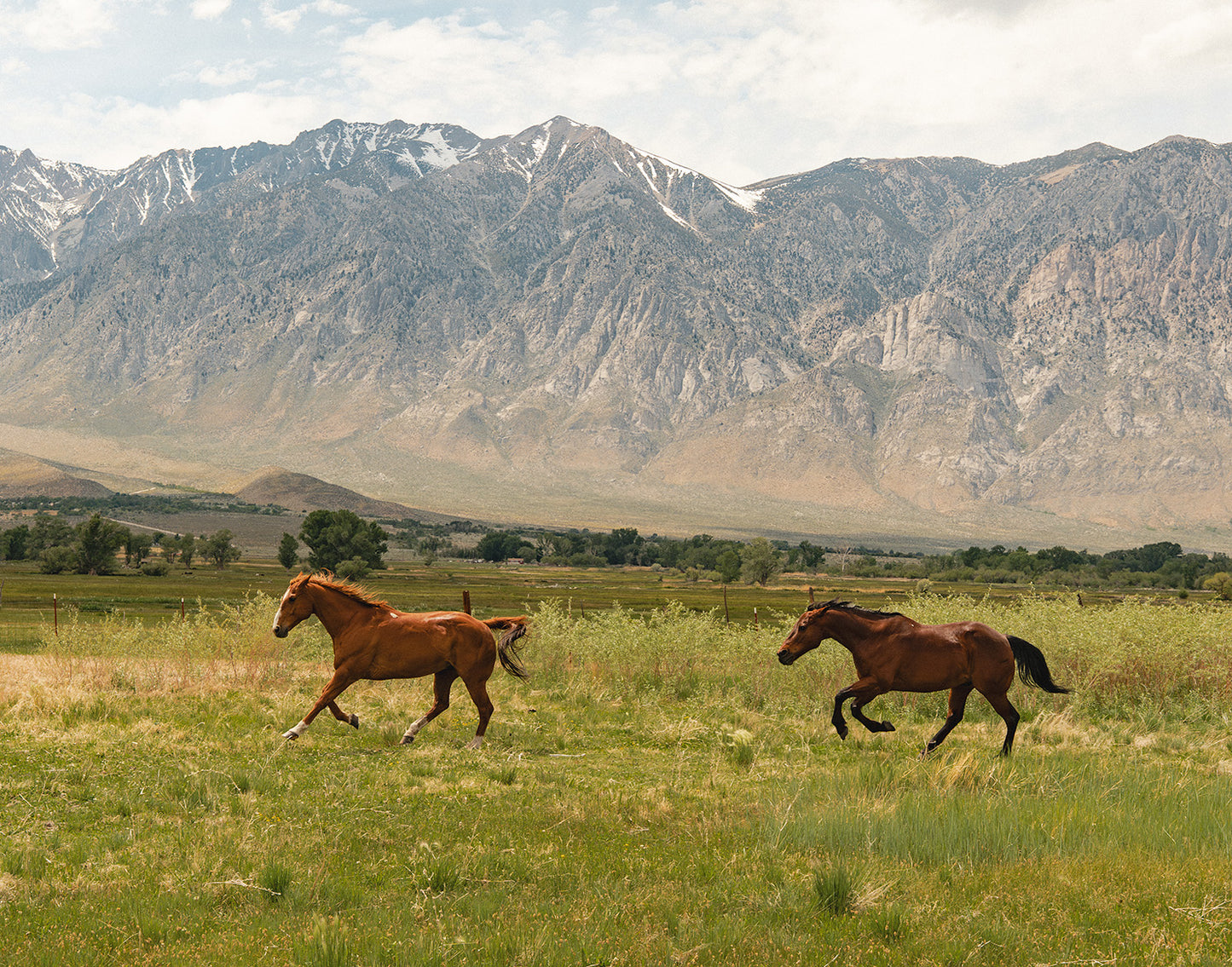 Horsepower