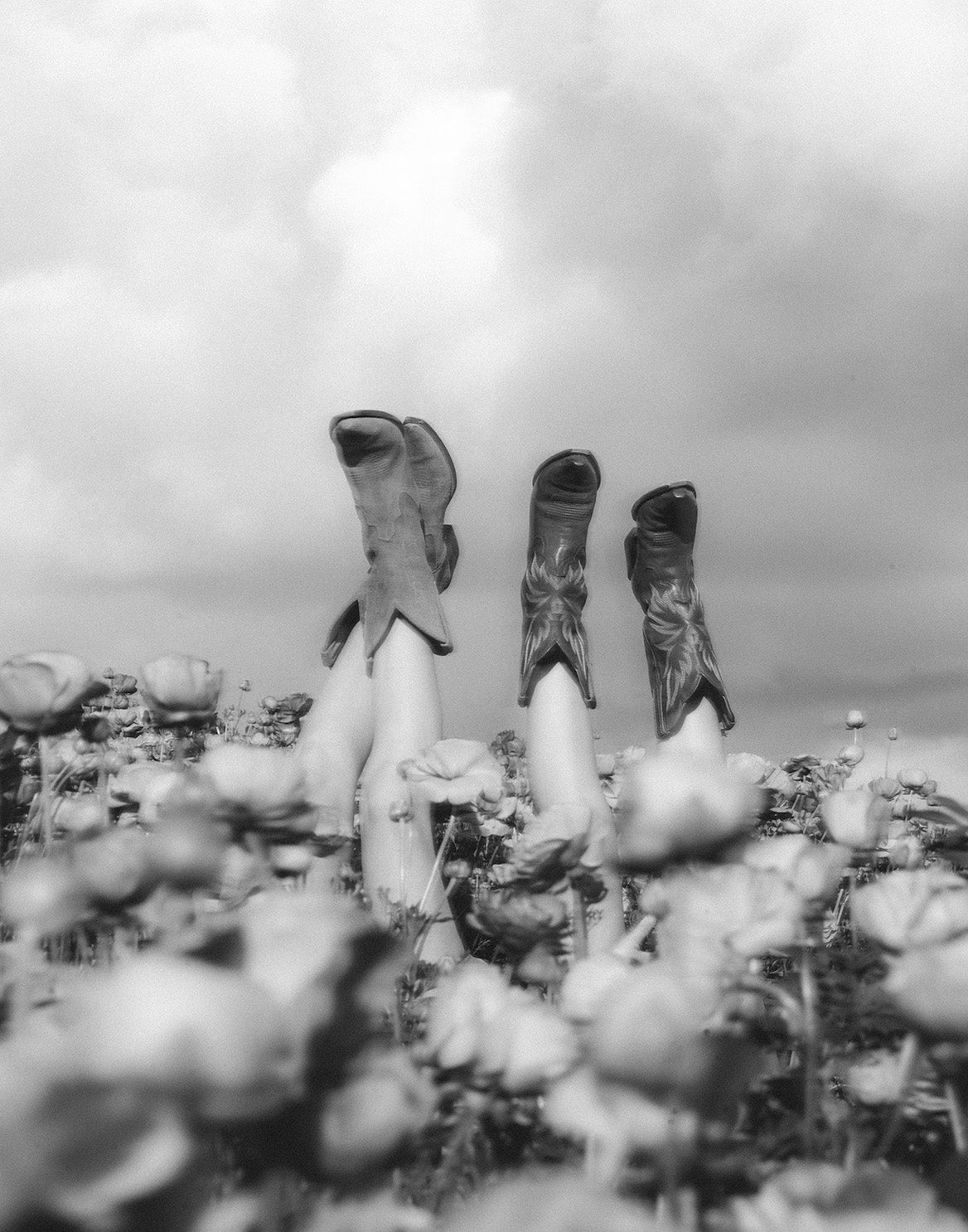 Tecovas